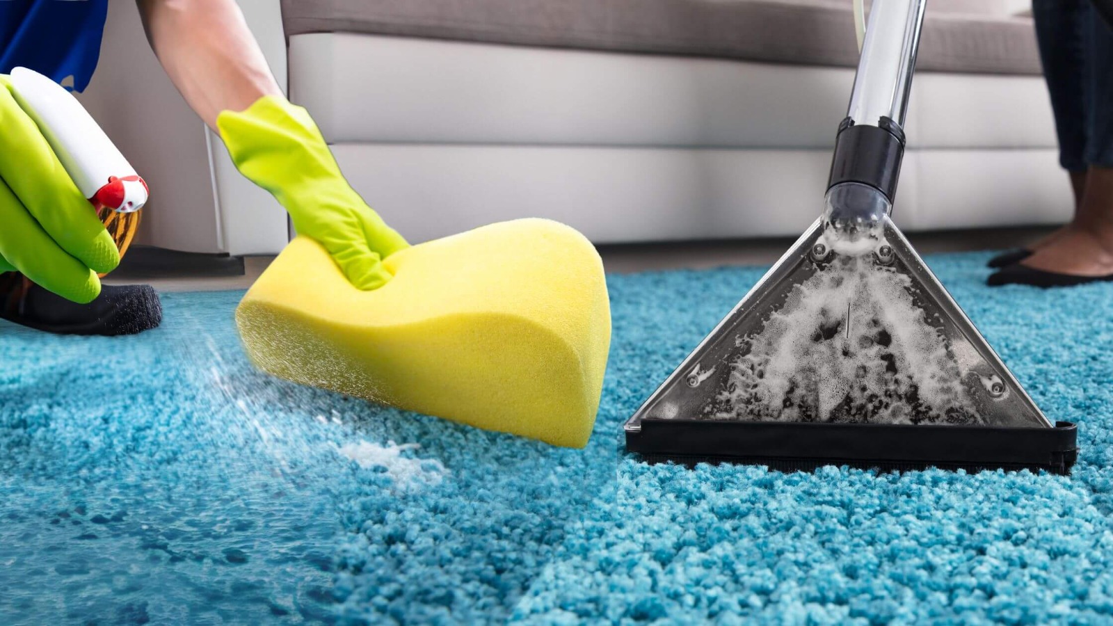 Trusted Pet Odor Carpet Cleaning for Families &amp; Pets