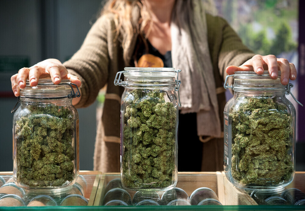 Local Recommendations for a Lloret de Mar Cannabis Club