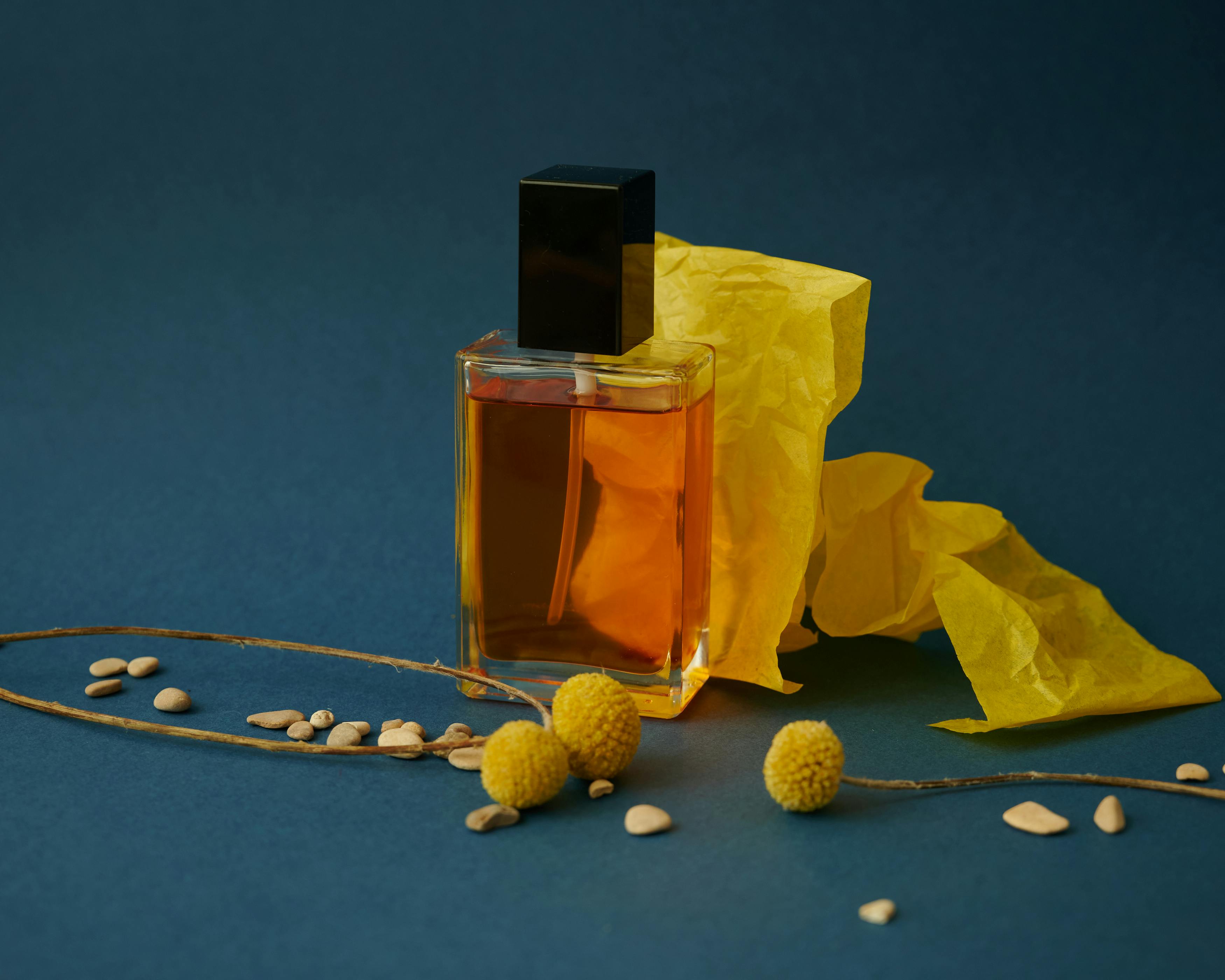 Jimmy Choo Perfume Women’s Favourites: Our Most-Loved Bottles