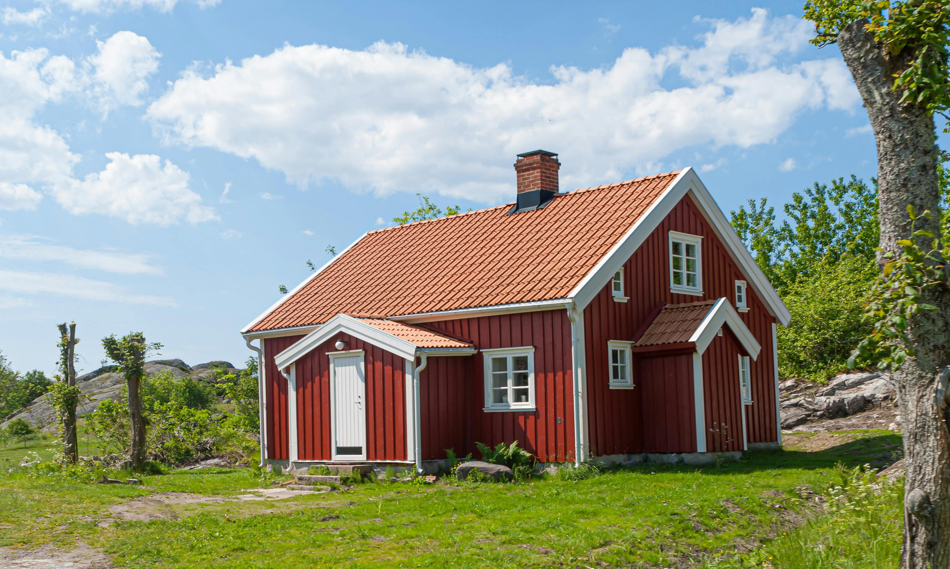 Mold Inspection Oklahoma City: Protect Your Family’s Health