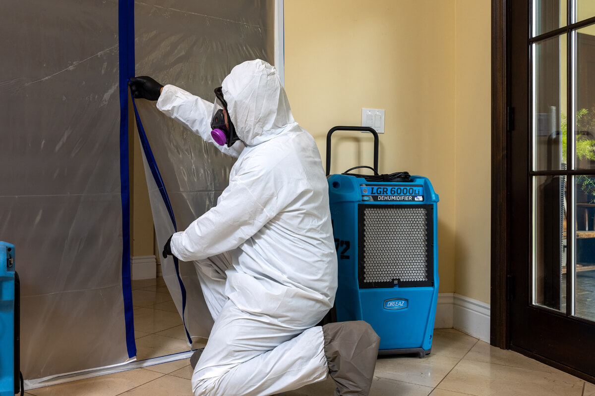 Professional Cleaning Experts – mold remediation lakeway tx