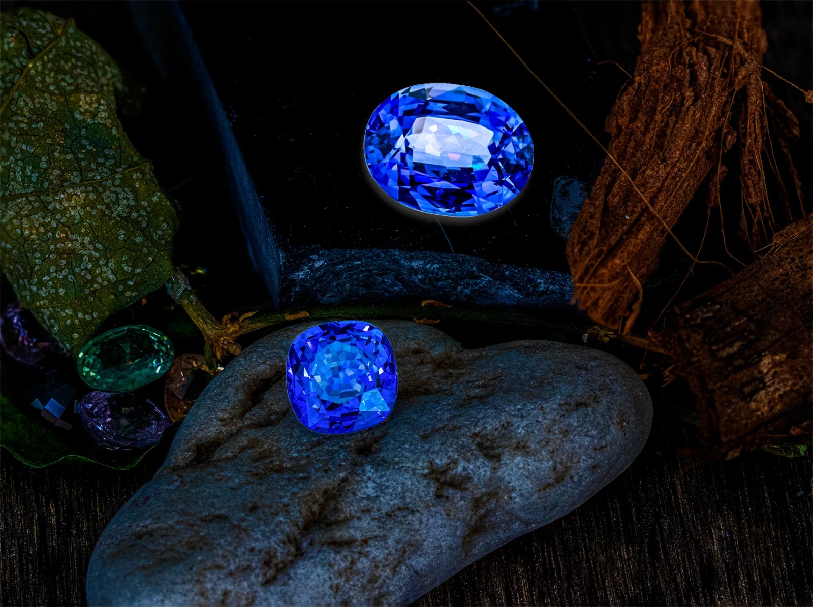 WhatsApp Image 2025-12-29 at 6.20.35 PM